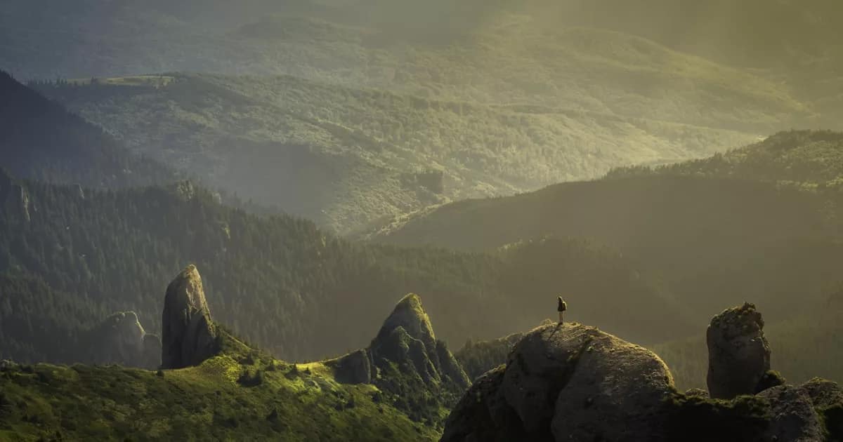 Louisiana bayou southern landscape