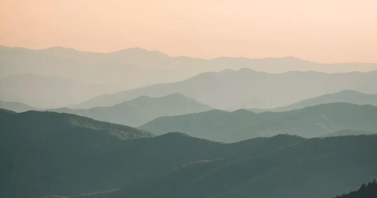 open green meadow at dusk