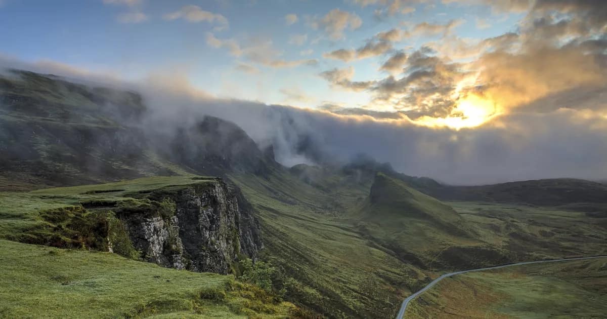 misty forest rays of light