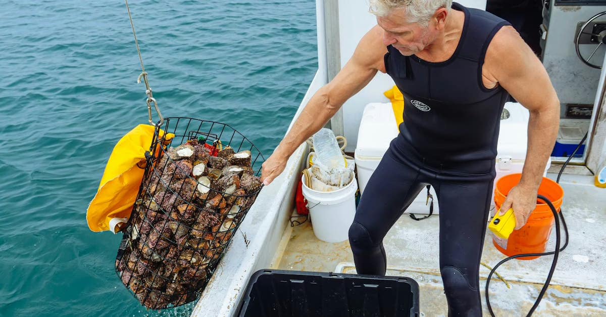 Exploring Key Resources for California Residents and TCs