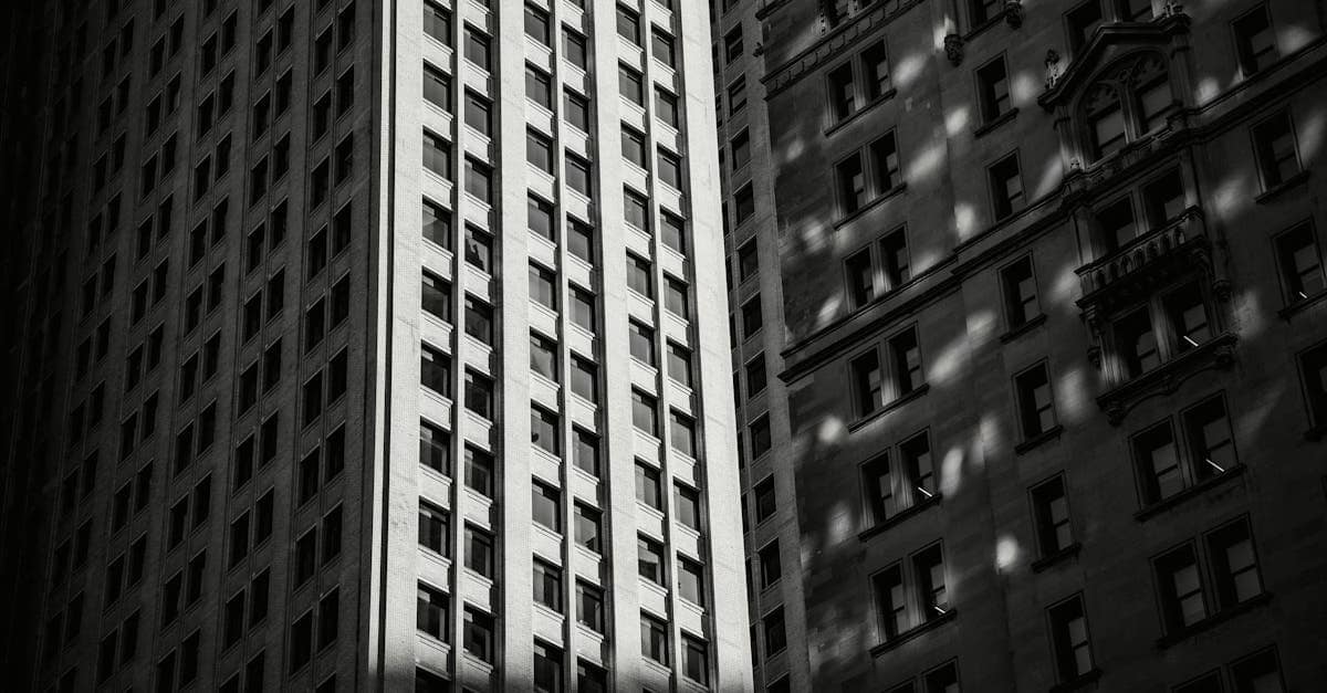 Decoding the Real Estate Option: A TC’s Essential Guide