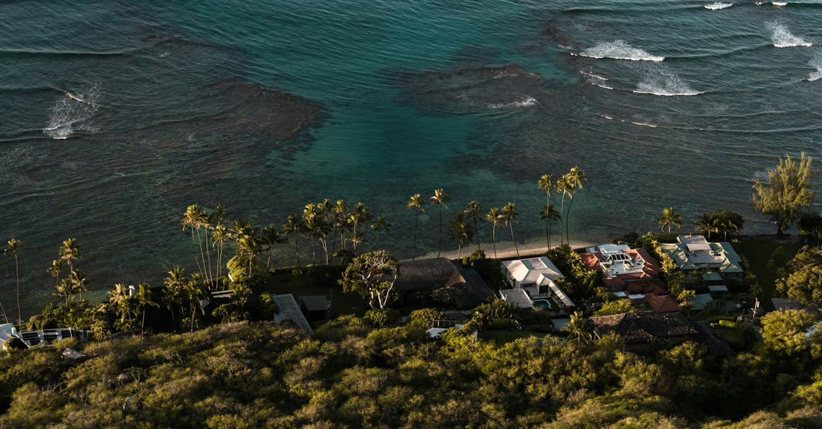 Unlock Success: Hosting Your Premier Exclusive Open House Event