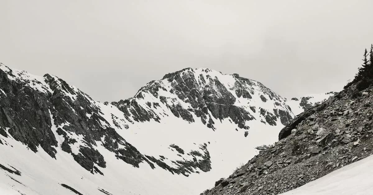 Master 5 Steps to Compliance: Handling FSBO Paperwork in Colorado