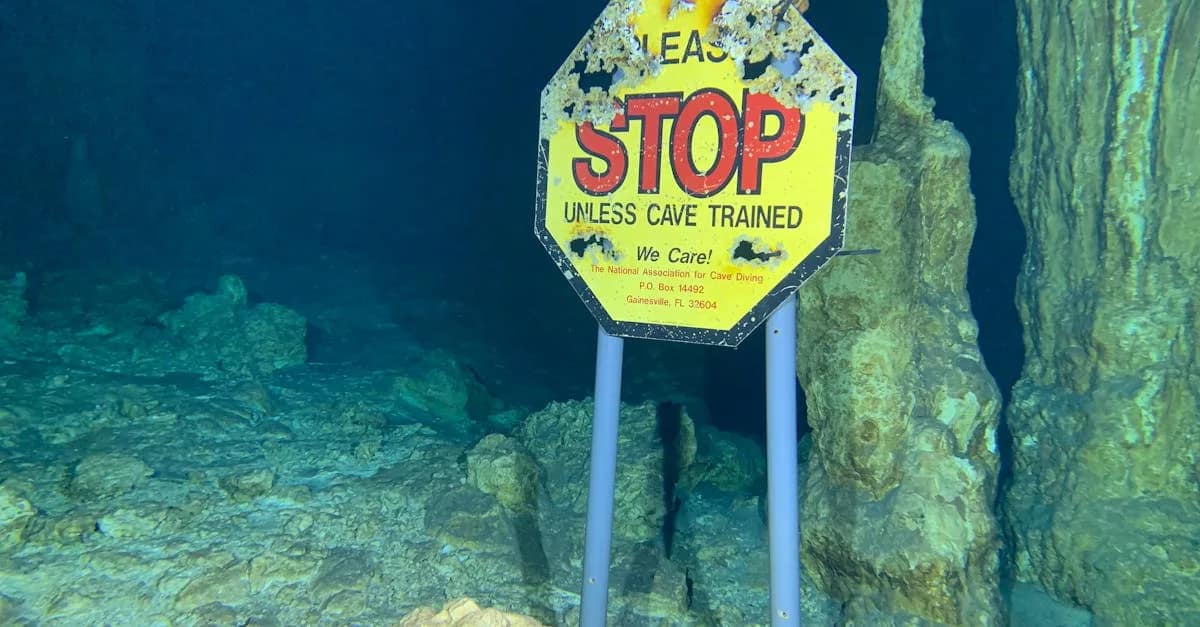 5 Steps to Mastering Florida Seller Disclosure Requirements in 2024