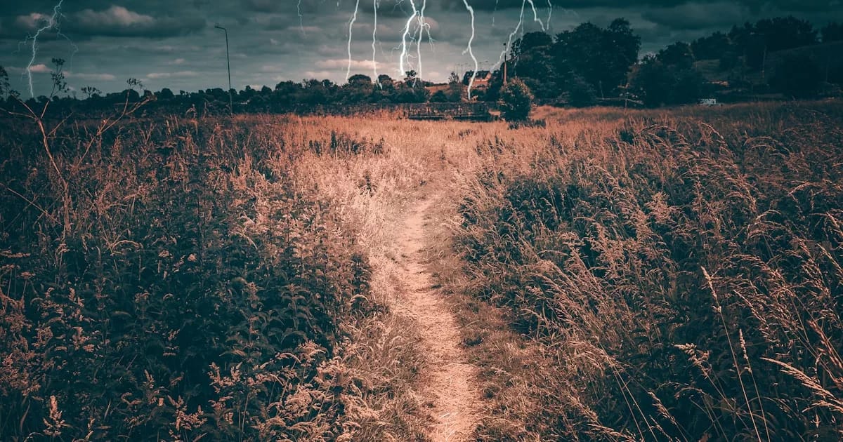 city bridge twilight reflection