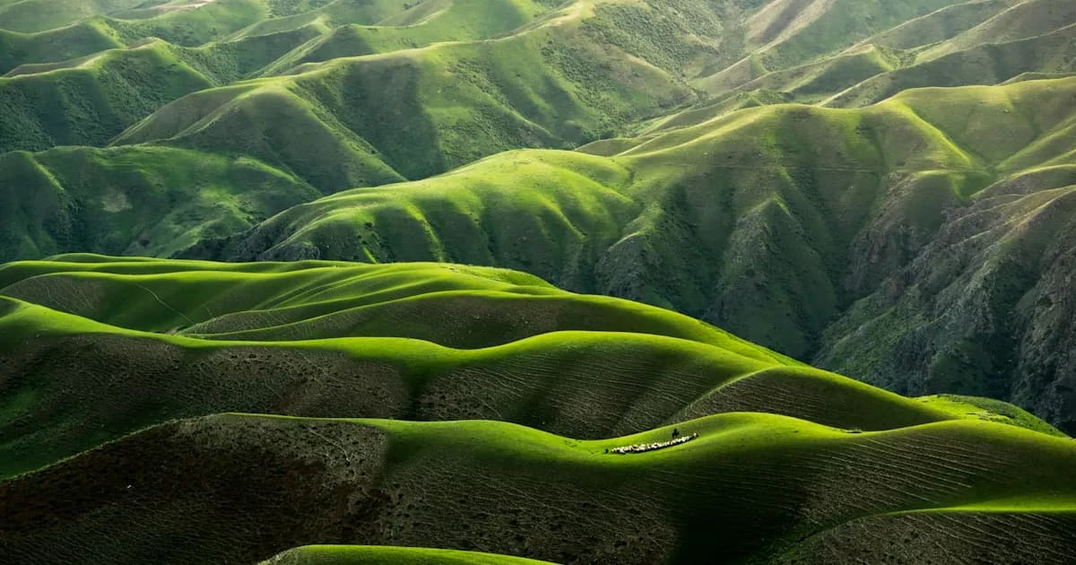 aerial mountain landscape birds eye