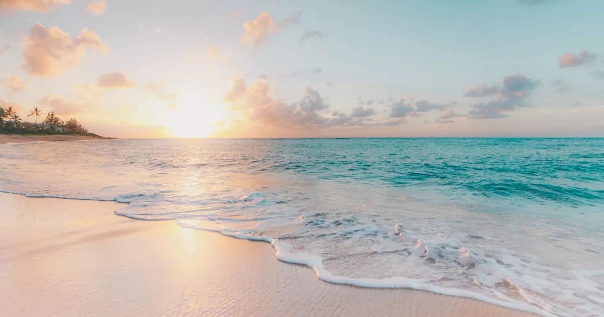 Hawaii beach tropical ocean