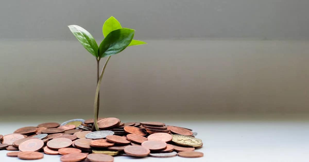 financial growth bar chart